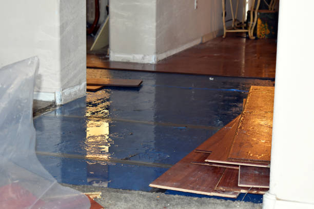 Professional Basement Flooding technician working in Brockton, PA